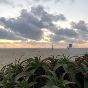 Meet your Posher, Lucy